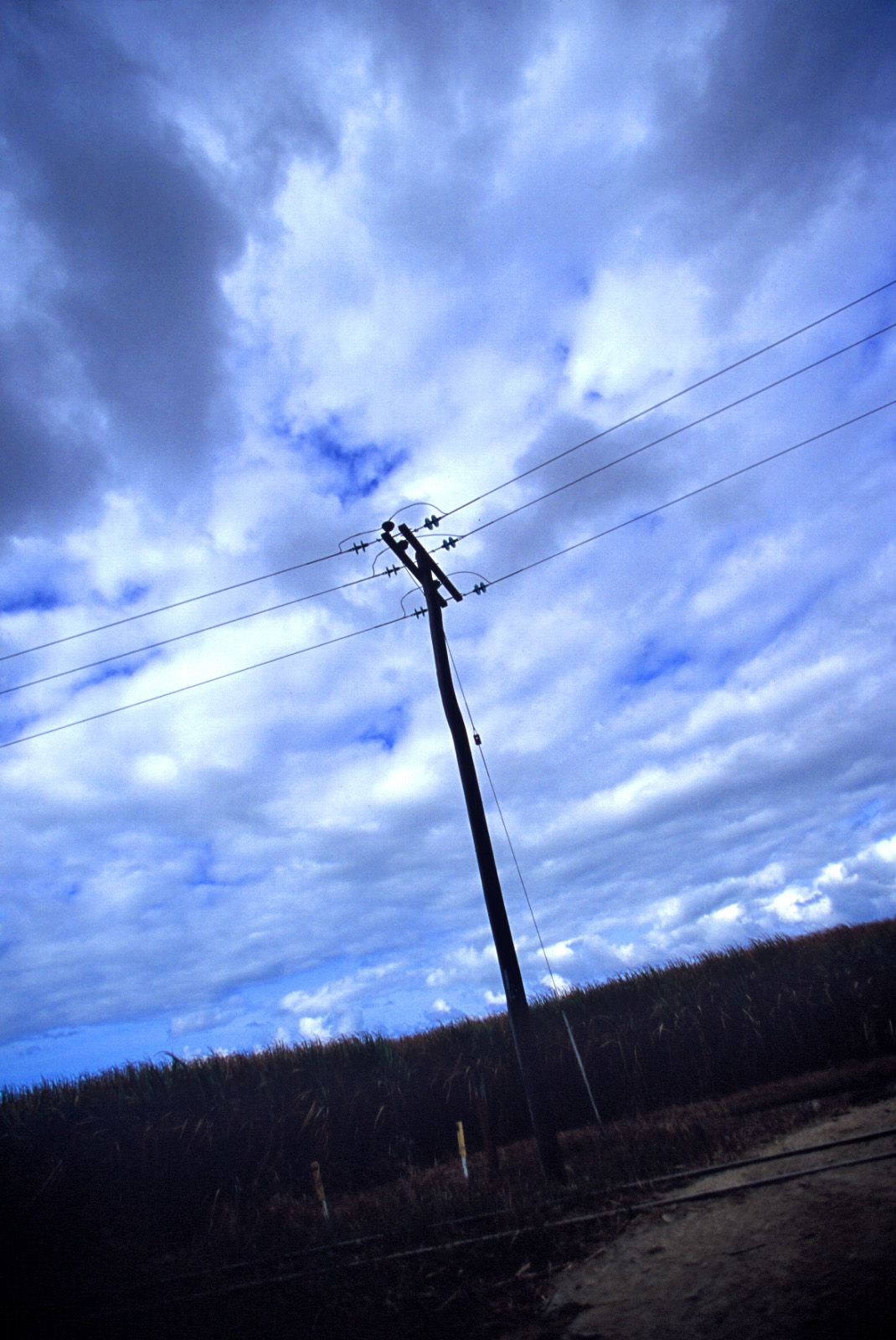 SF-No.339 Mayuko Iwasa 岩佐真悠子-图22