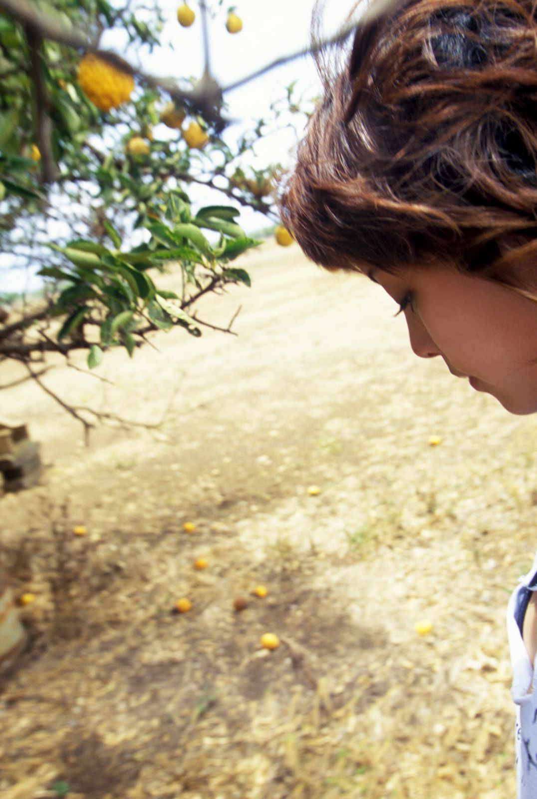 SF-No.339 Mayuko Iwasa 岩佐真悠子-图38