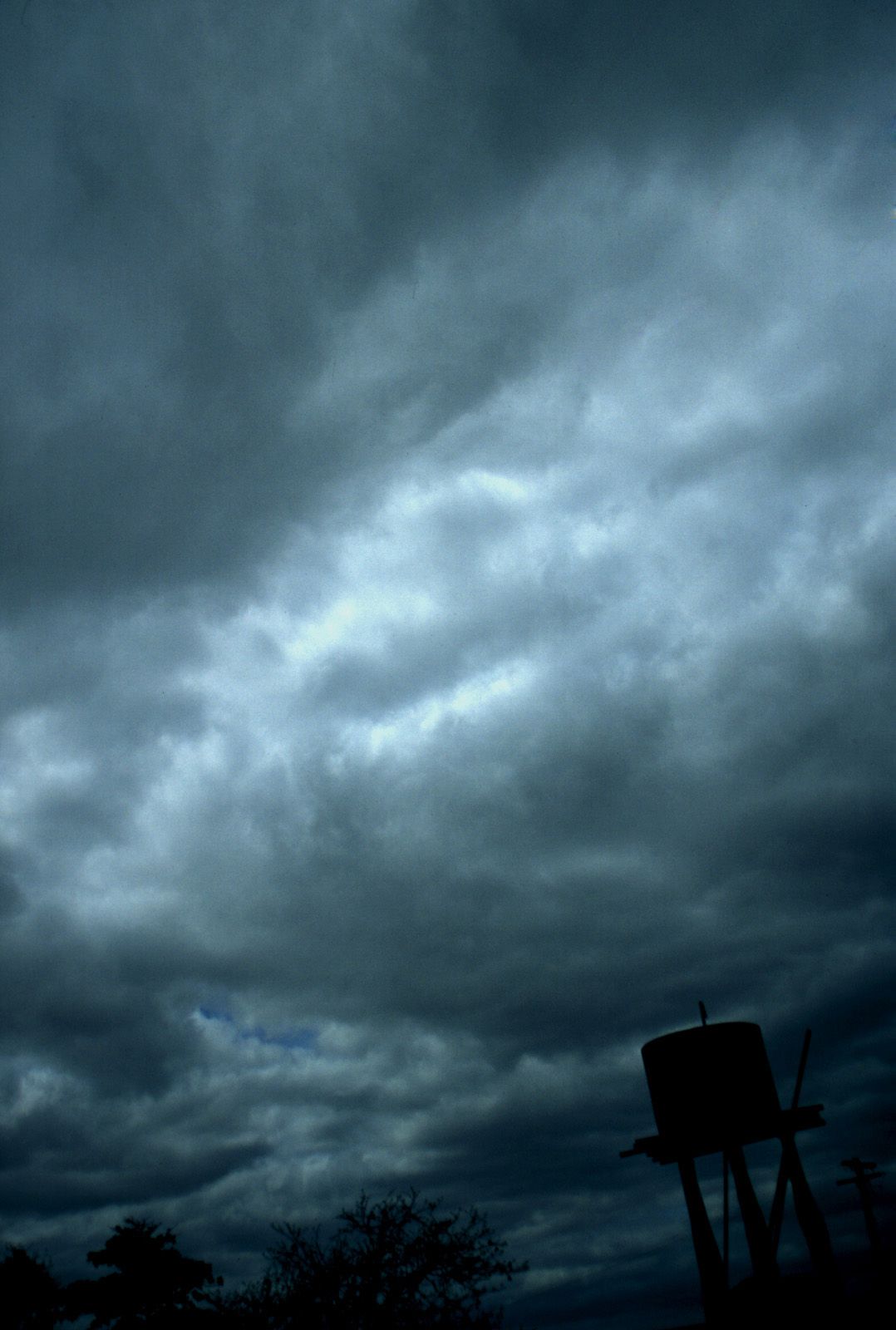 SF-No.339 Mayuko Iwasa 岩佐真悠子-图5