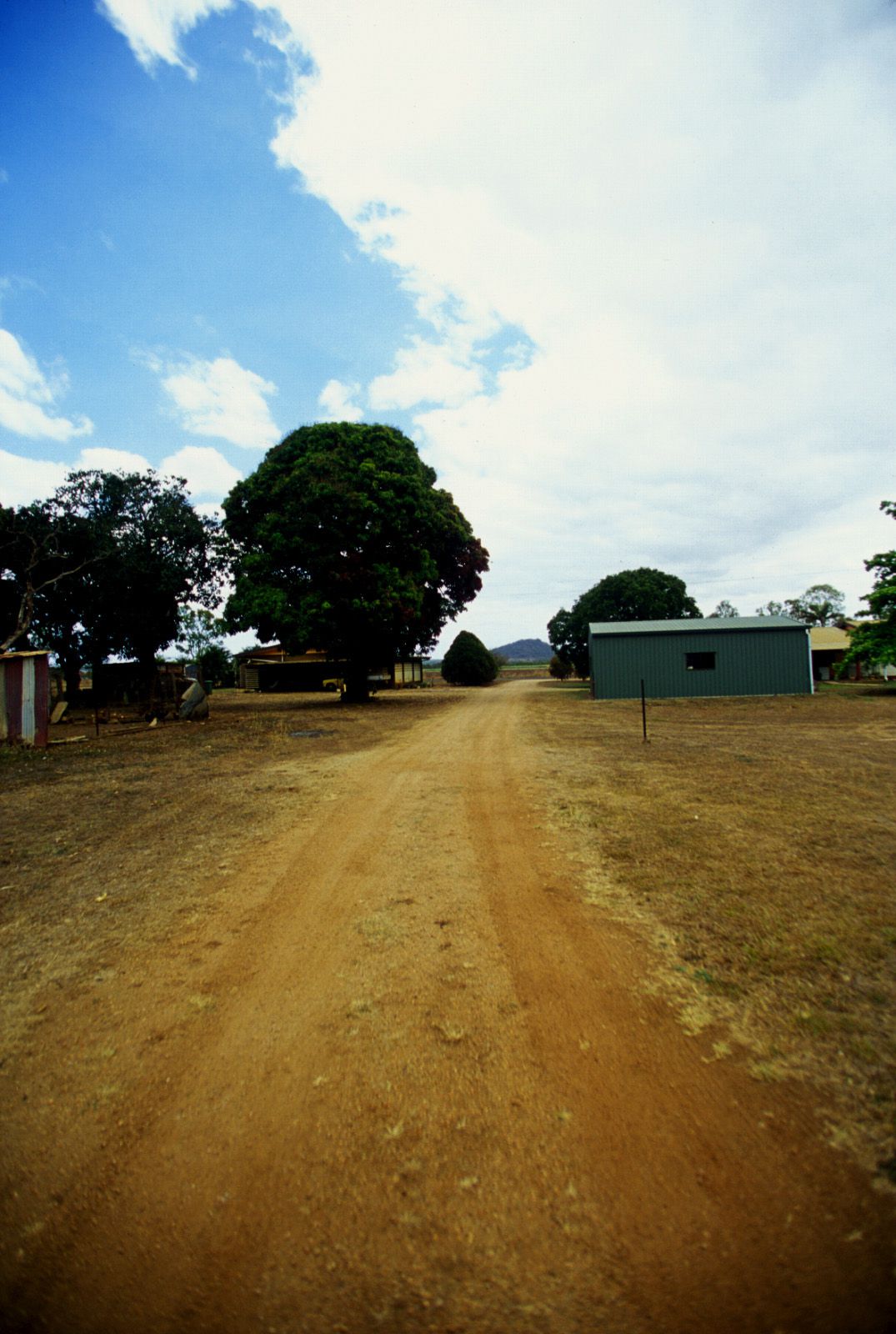 SF-No.339 Mayuko Iwasa 岩佐真悠子-图66