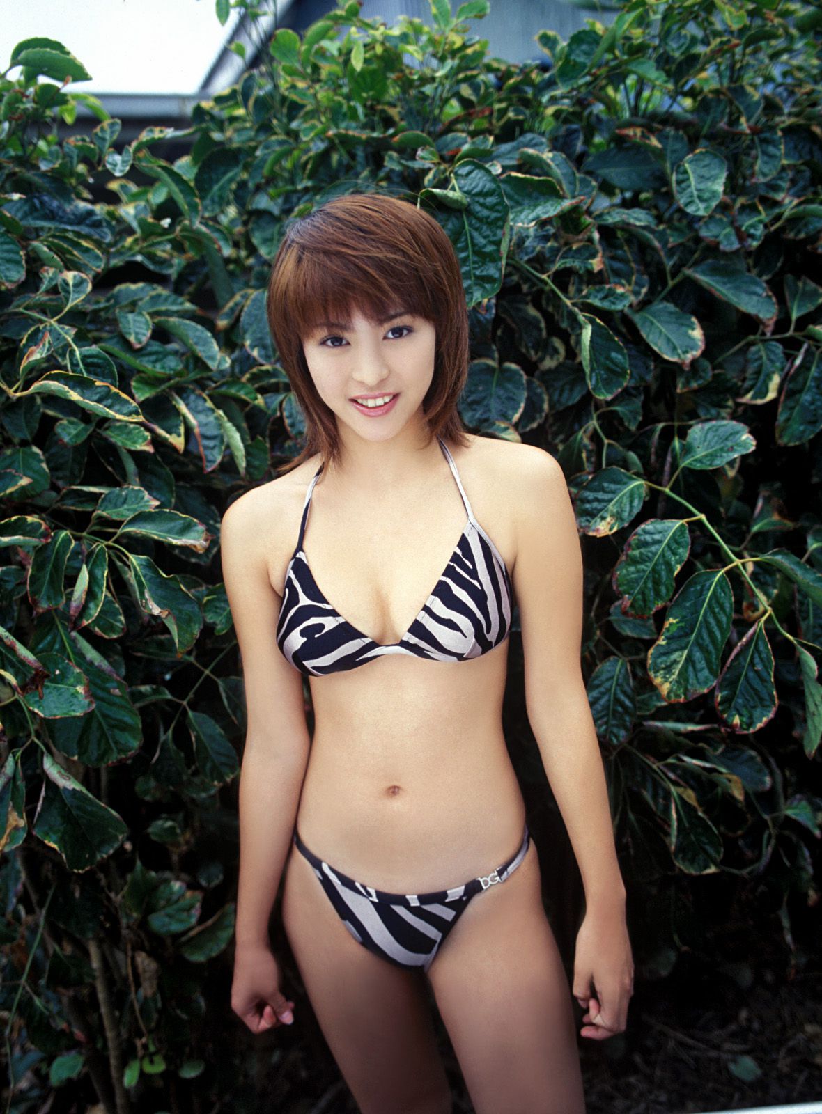 SF-No.341 岩佐真悠子 Mayuko Iwasa-图0