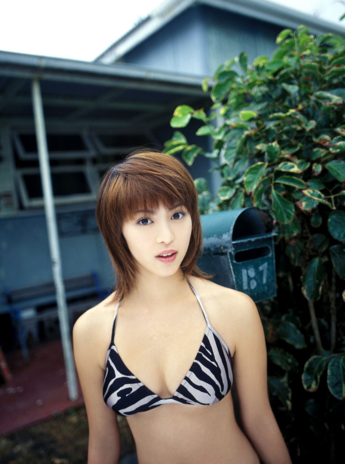 SF-No.341 岩佐真悠子 Mayuko Iwasa-图44