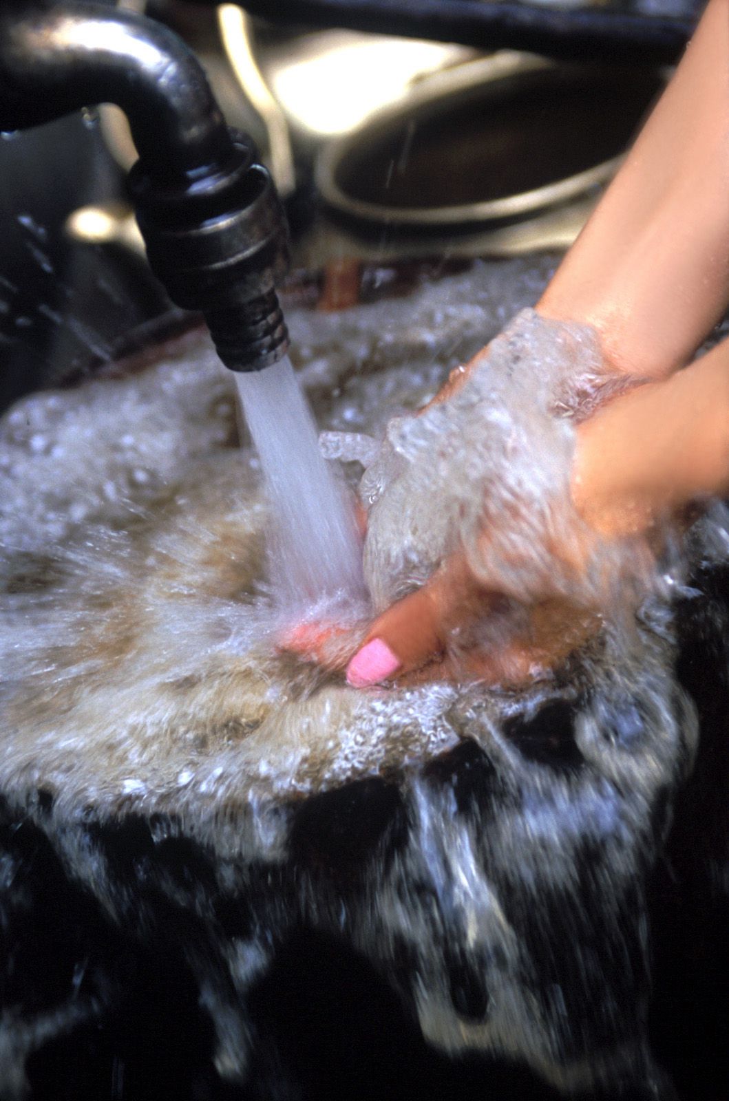 SF-No.343 Toshimi Horiguchi 堀口俊美-图20