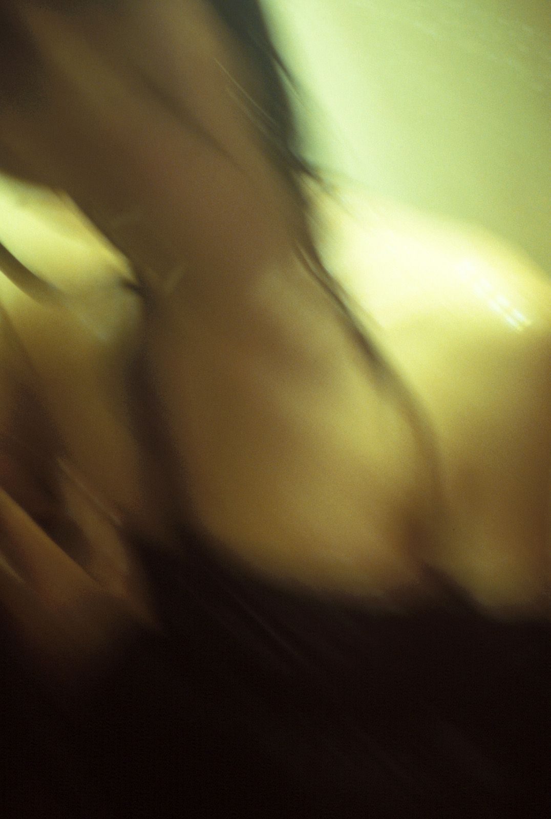 SF-No.343 Toshimi Horiguchi 堀口俊美-图36