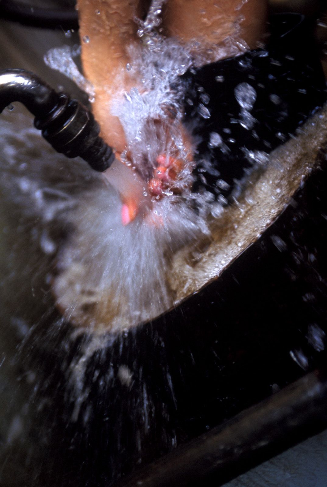 SF-No.343 Toshimi Horiguchi 堀口俊美-图42