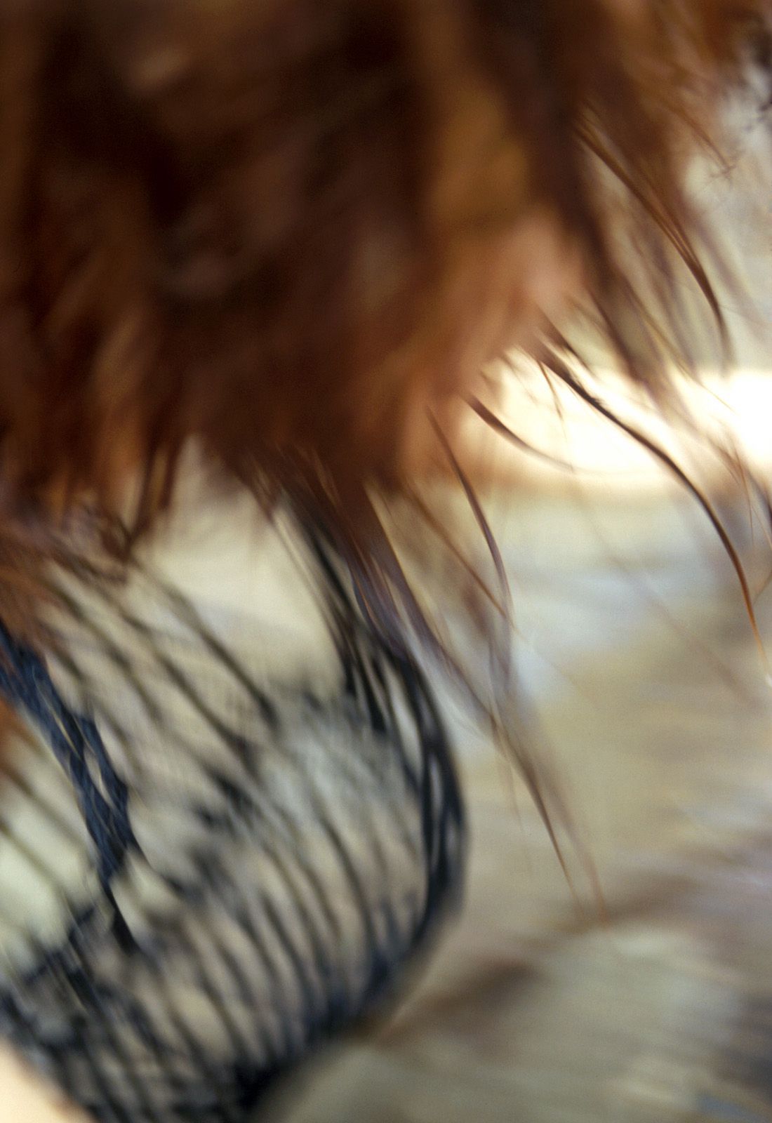 SF-No.343 Toshimi Horiguchi 堀口俊美-图74