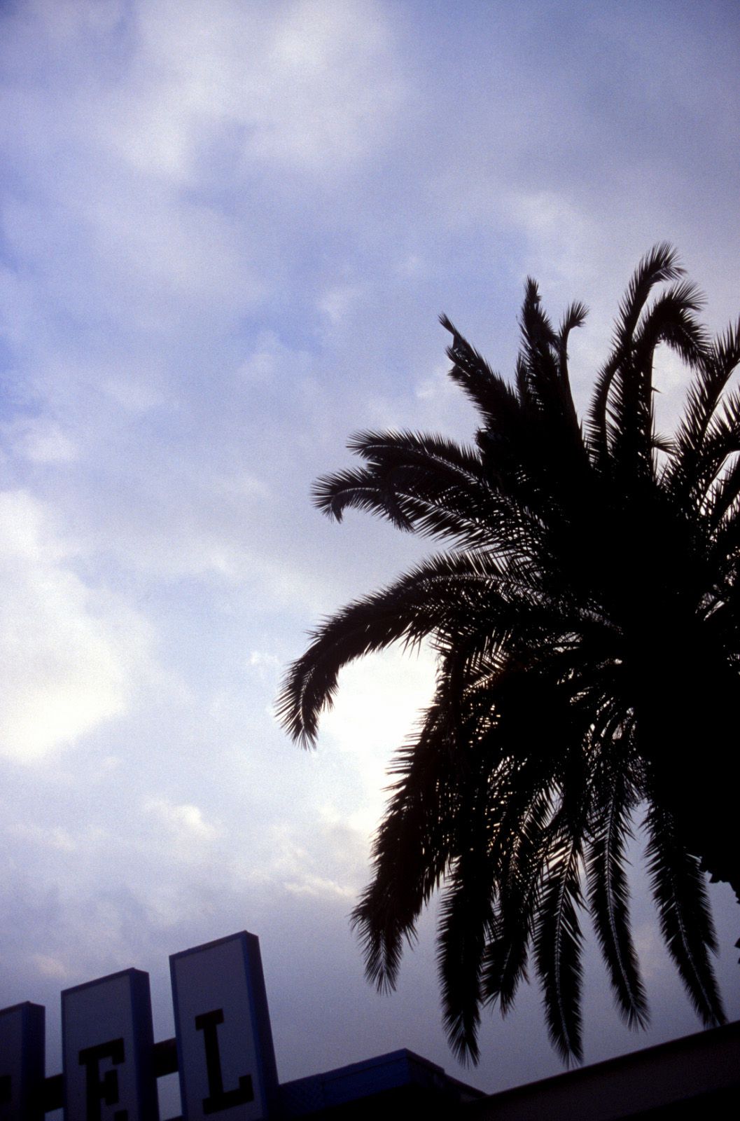 SF-No.345 星野亚纪/ほしのあき Aki Hoshino-图18