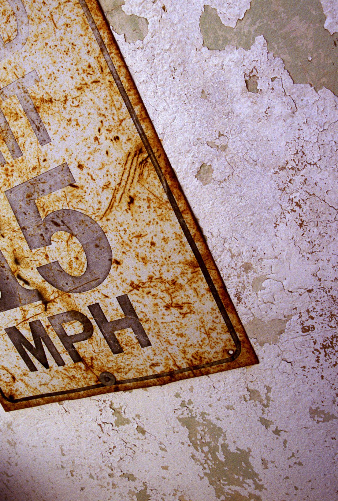 SF-No.346 Aki Hoshino 星野亜希/ほしのあき-图60