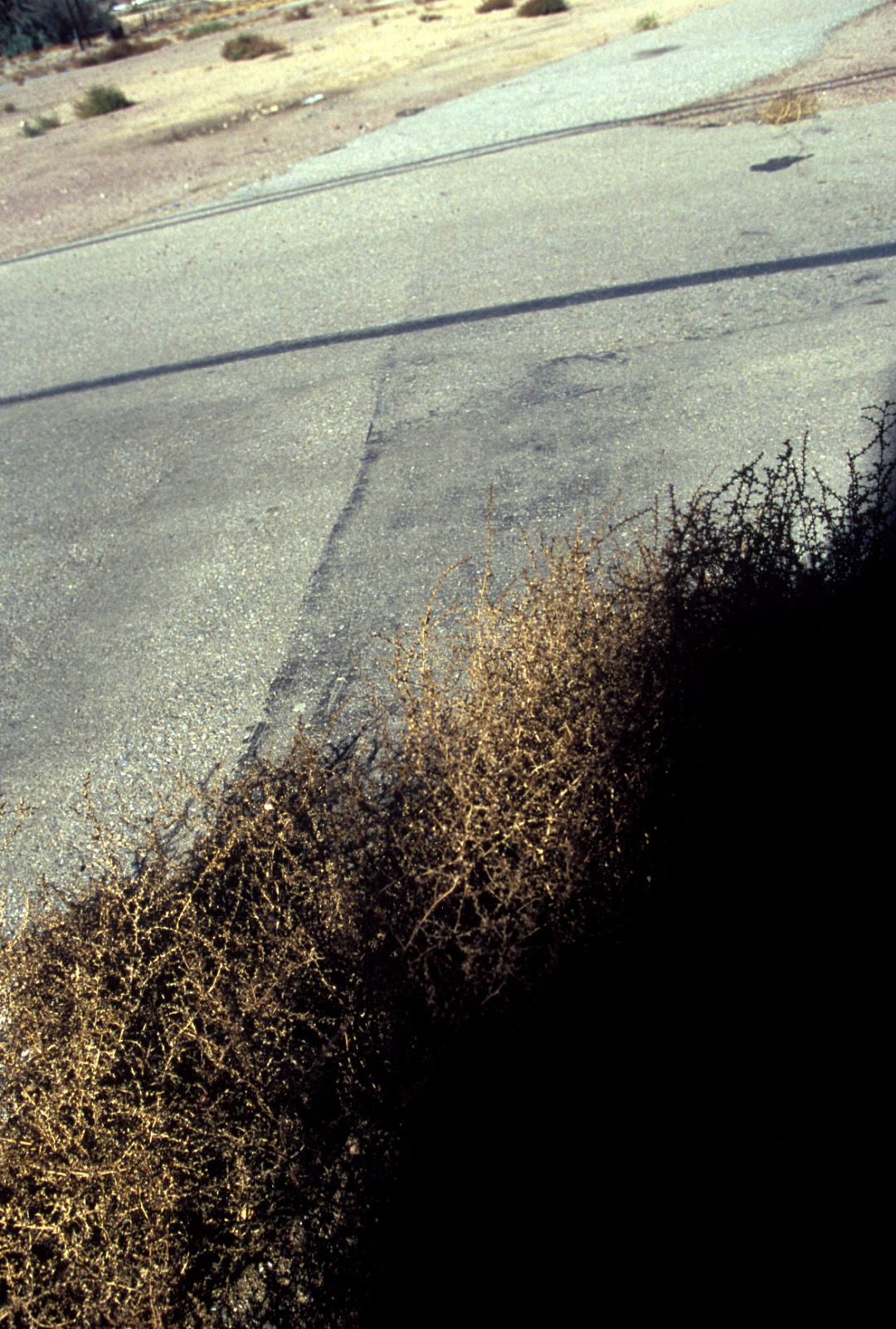 SF-No.346 Aki Hoshino 星野亜希/ほしのあき-图76