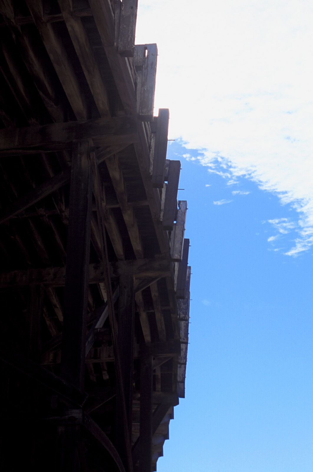 SF-No.346 Aki Hoshino 星野亜希/ほしのあき-图89