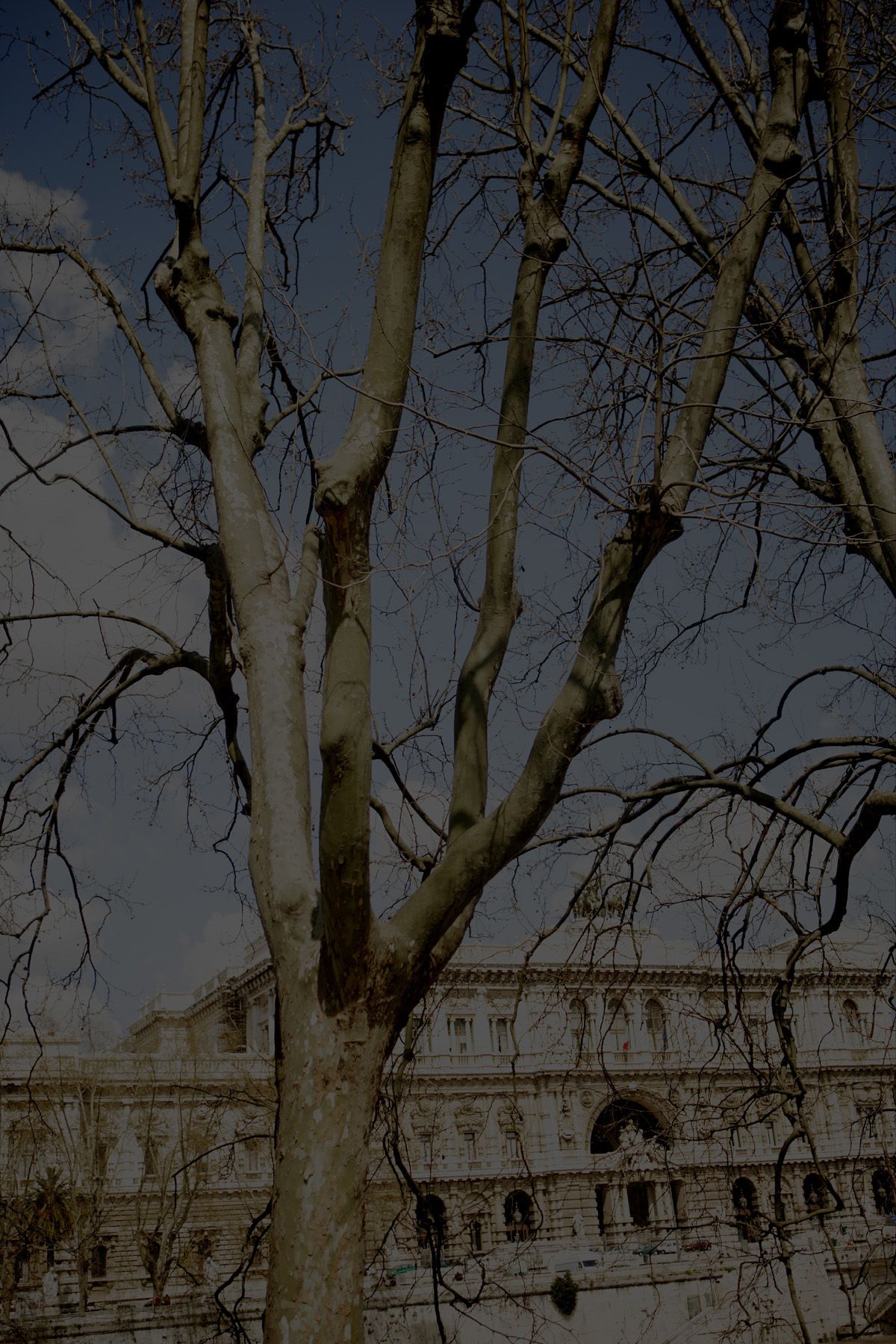 SF-No.349 Natsuki Harada 原田夏希-图93