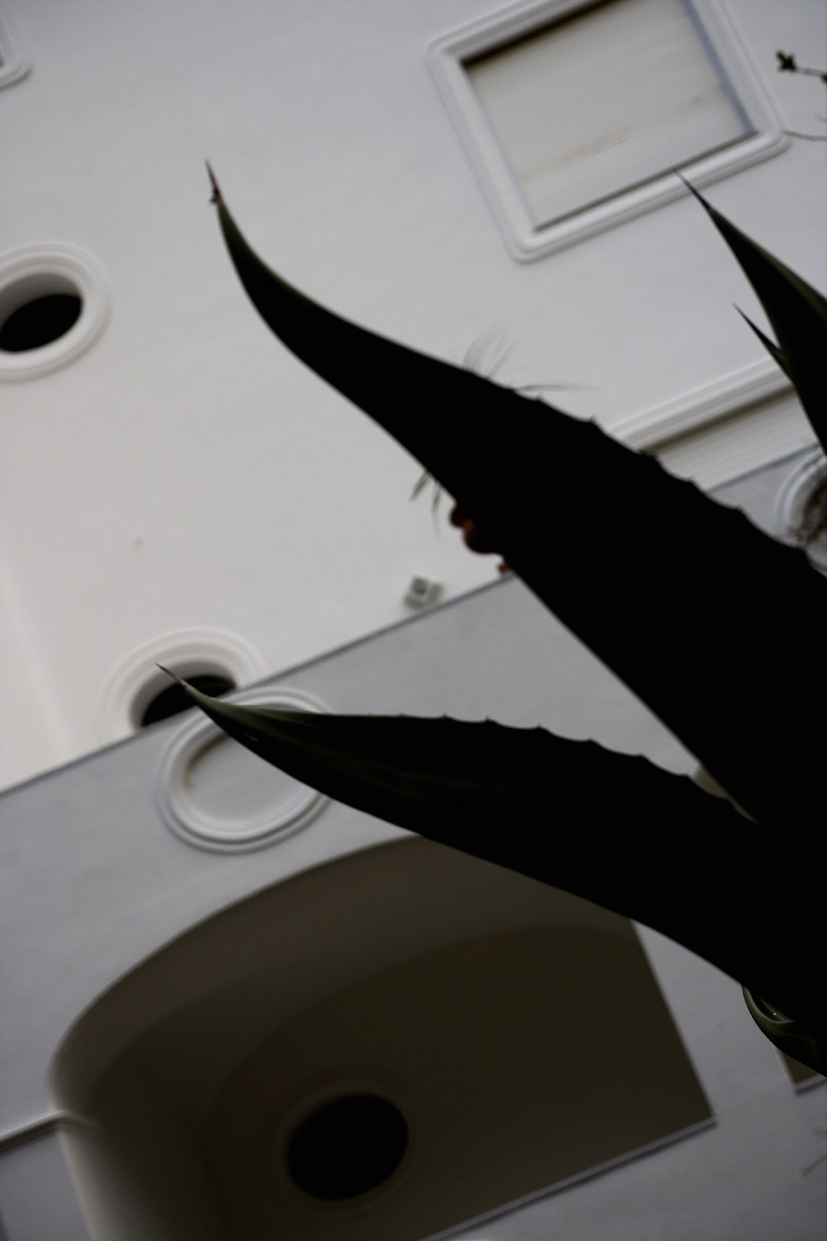 SF-No.349 Natsuki Harada 原田夏希-图97