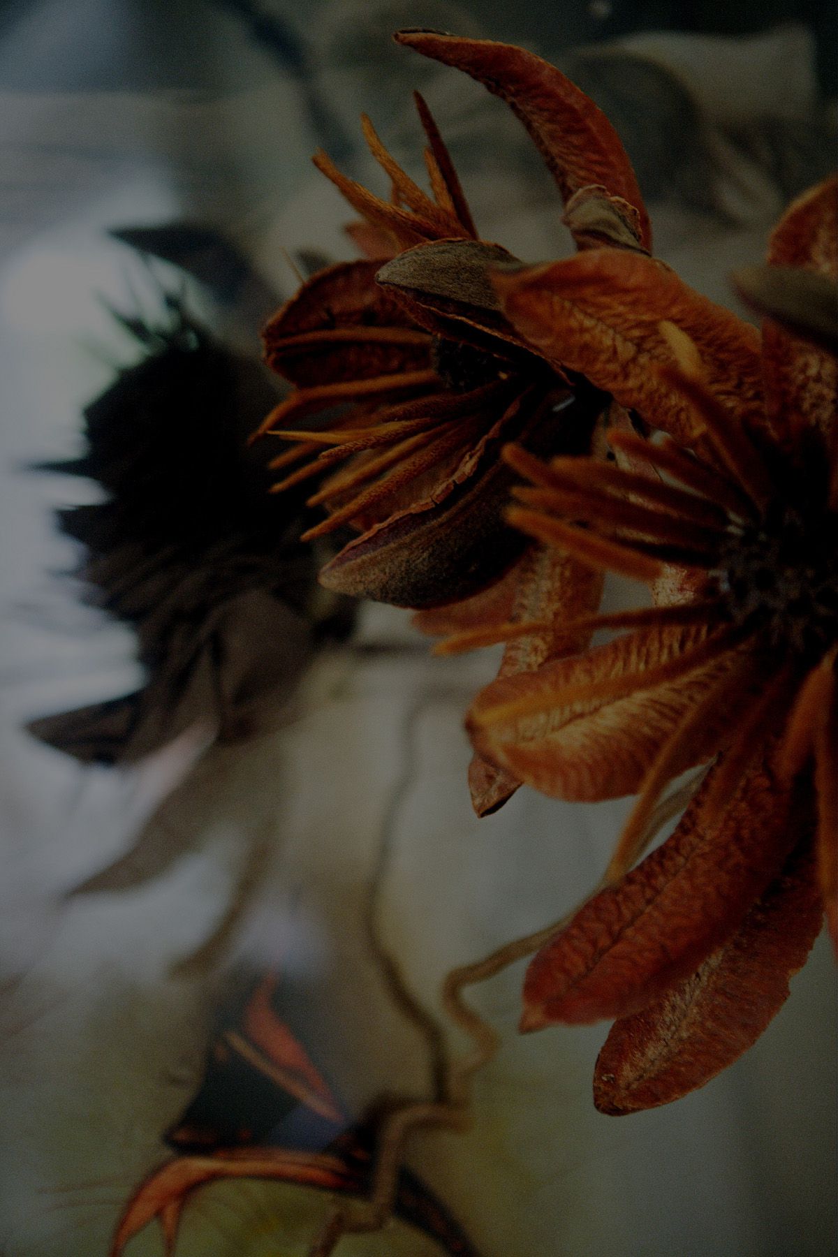 SF-No.350 原田夏希 Natsuki Harada-图100