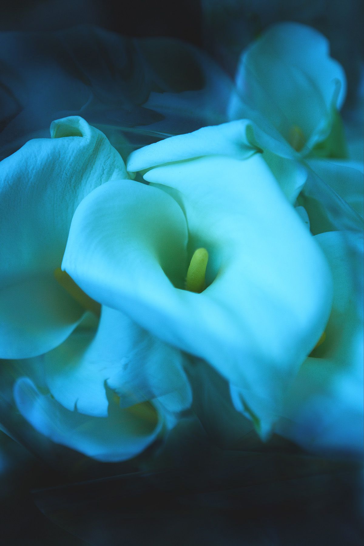 SF-No.350 原田夏希 Natsuki Harada-图12