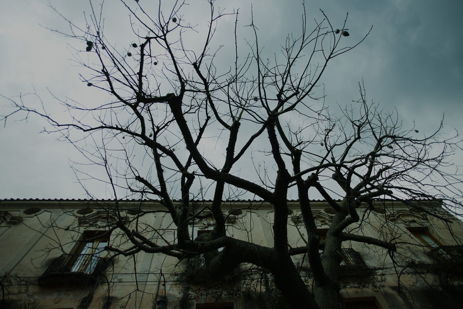 SF-No.350 原田夏希 Natsuki Harada-图32