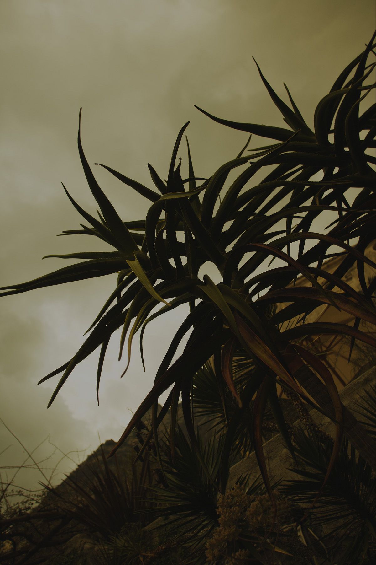 SF-No.350 原田夏希 Natsuki Harada-图43