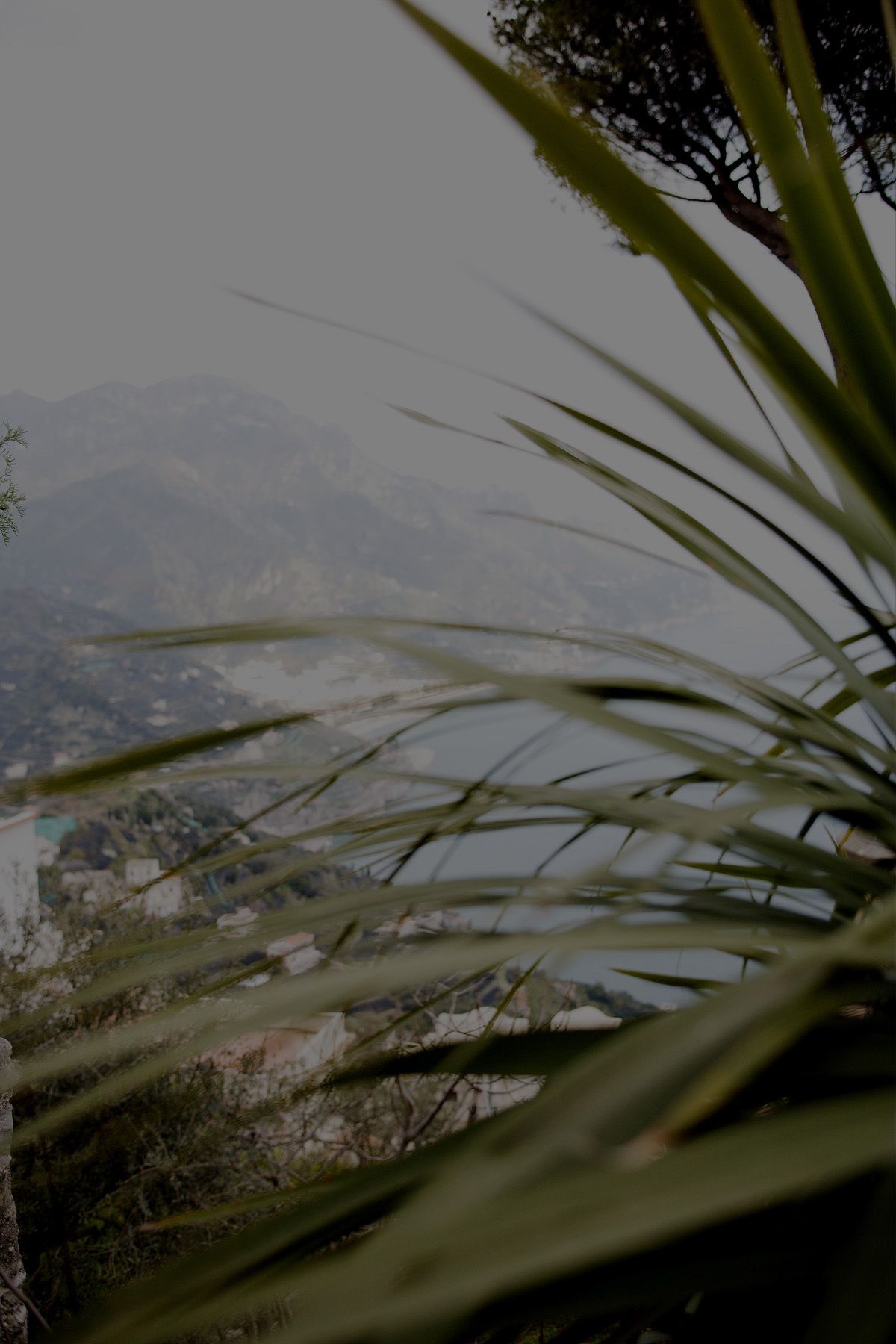 SF-No.350 原田夏希 Natsuki Harada-图69