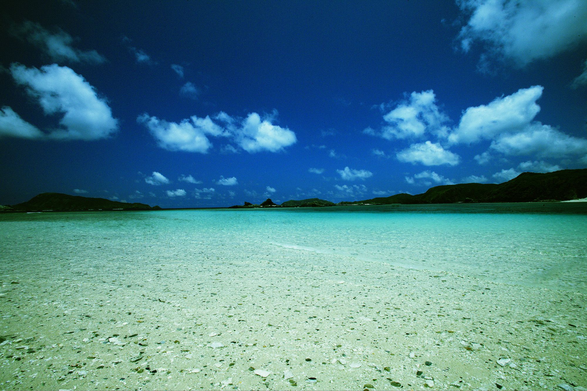 SF-No.359 Yuka Hirata 平田裕香-图39