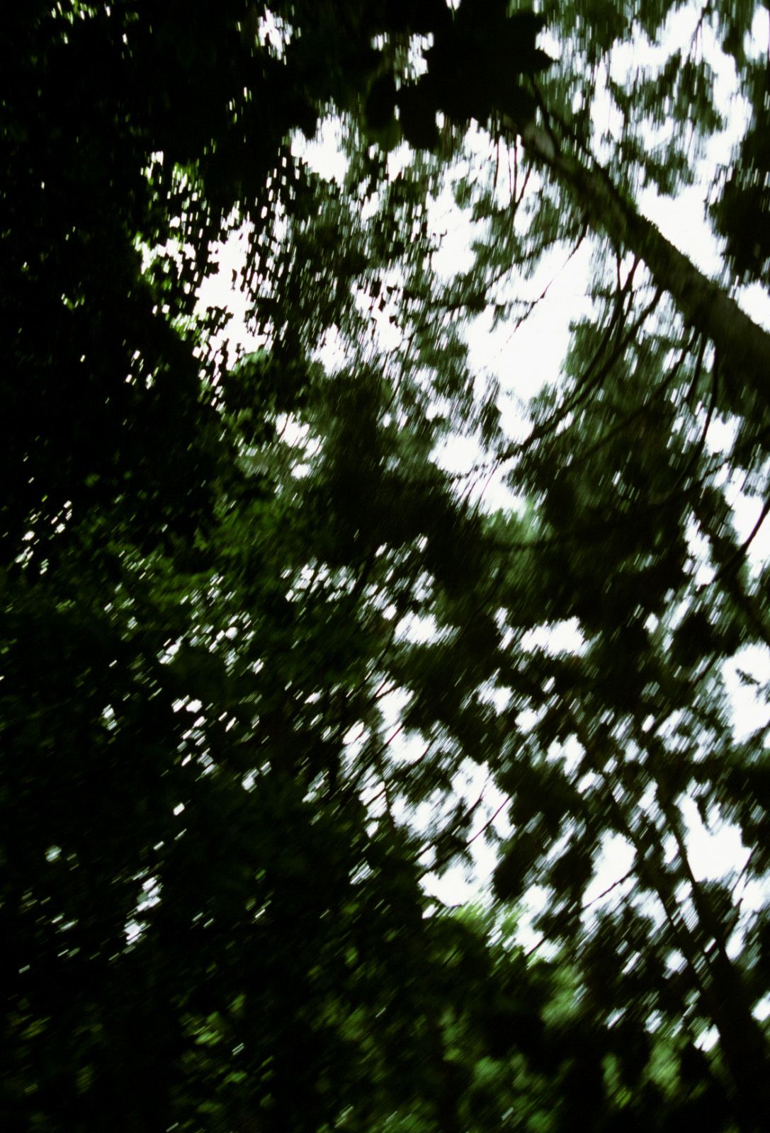 SF-No.360 Ayumi Kinoshita 木下あゆ美/木下亚由美-图13