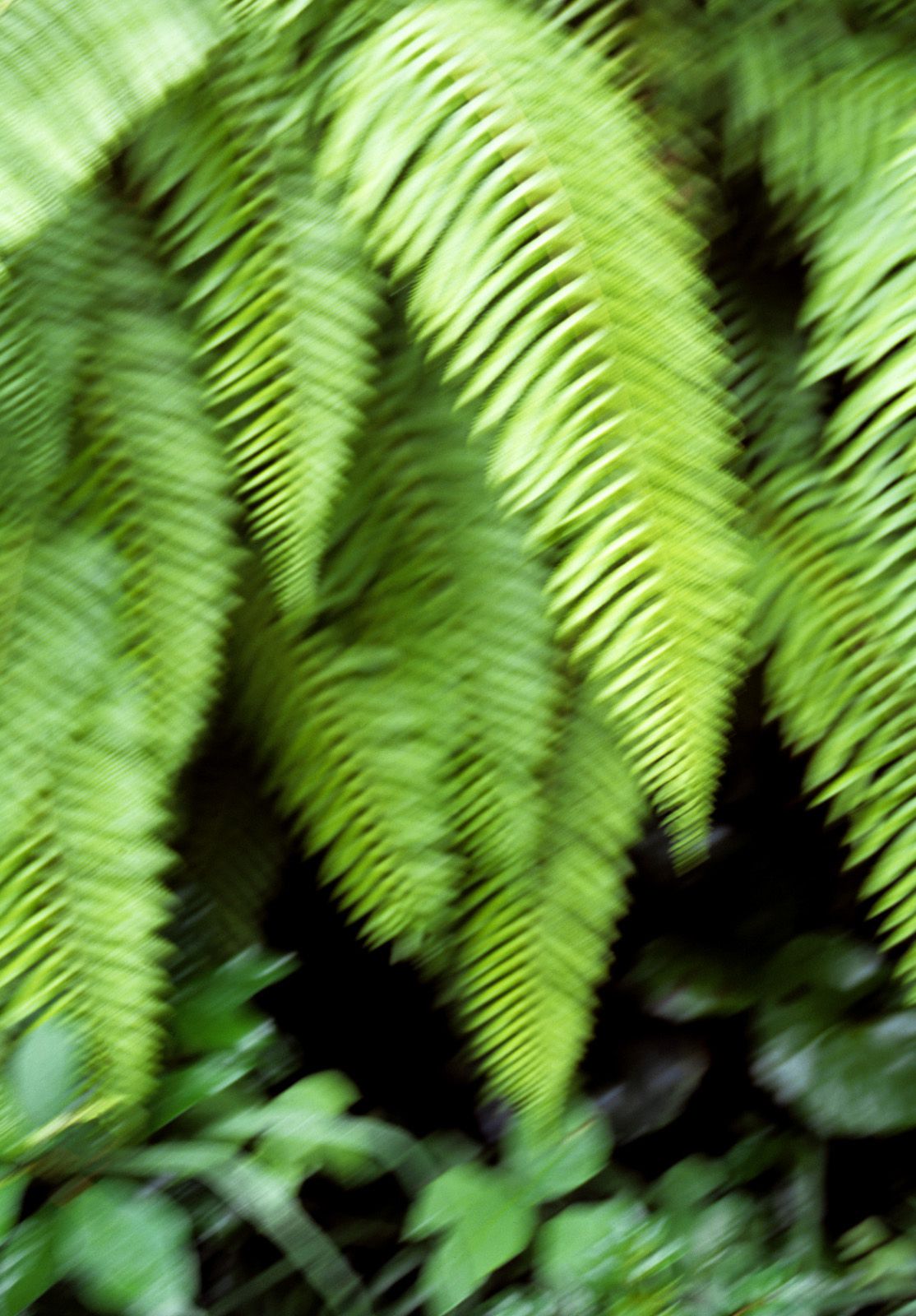 SF-No.360 Ayumi Kinoshita 木下あゆ美/木下亚由美-图18