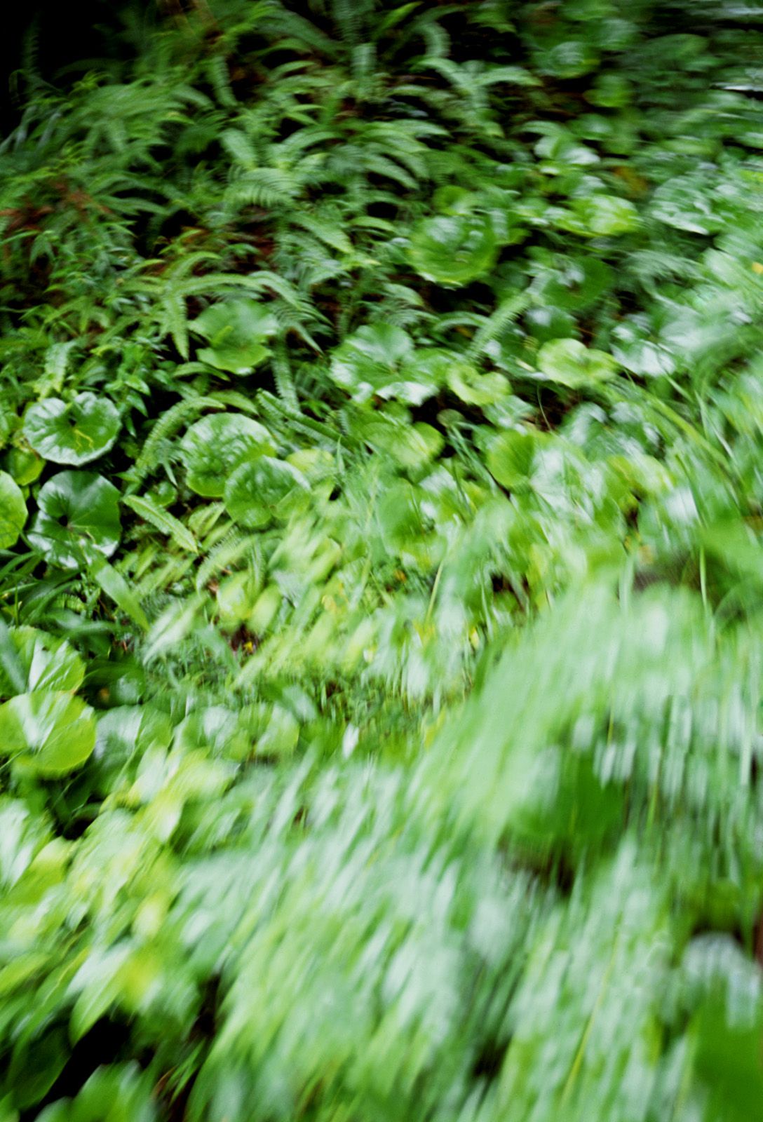 SF-No.360 Ayumi Kinoshita 木下あゆ美/木下亚由美-图24