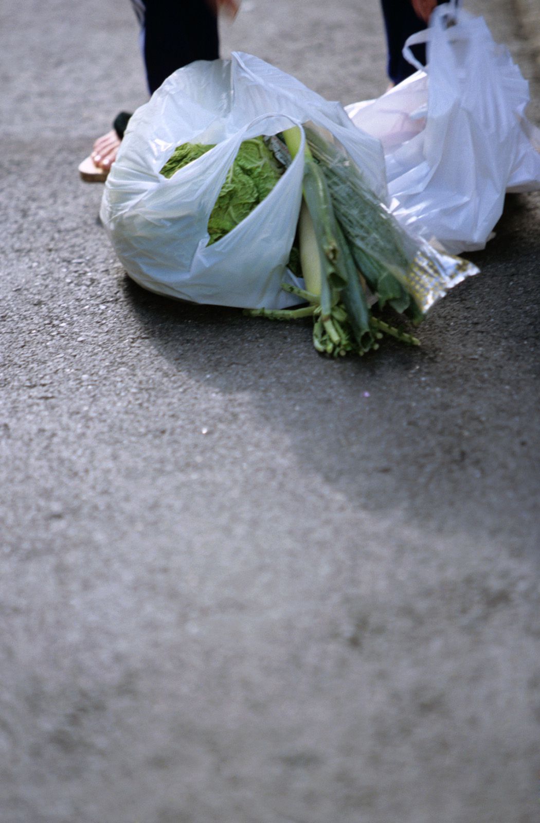 SF-No.360 Ayumi Kinoshita 木下あゆ美/木下亚由美-图58