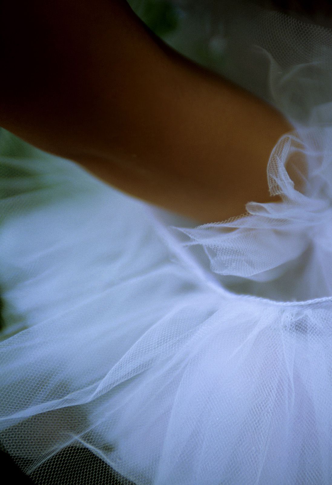 SF-No.361 Ayumi Kinoshita 木下あゆ美-图38