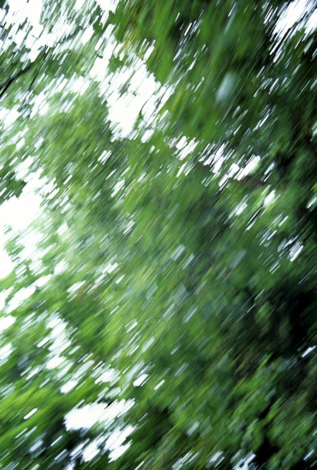 SF-No.361 Ayumi Kinoshita 木下あゆ美-图40