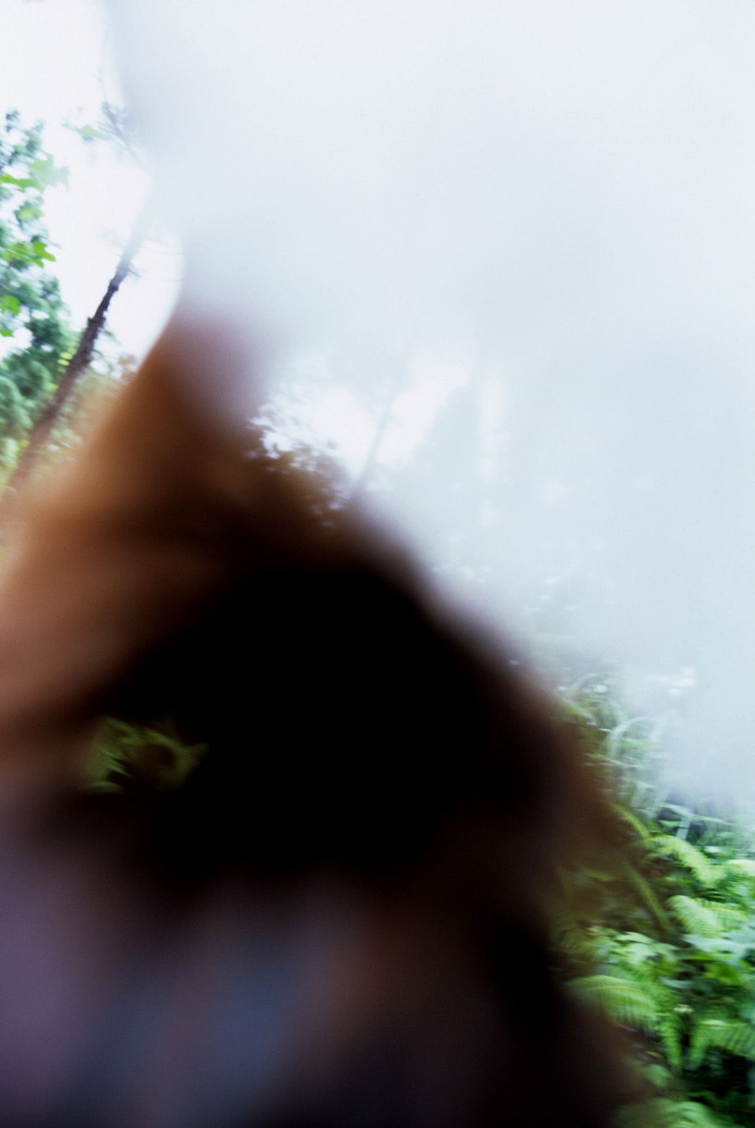 SF-No.361 Ayumi Kinoshita 木下あゆ美-图45