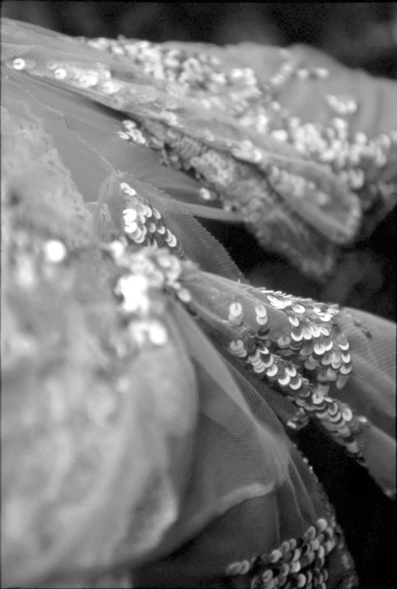 SF-No.361 Ayumi Kinoshita 木下あゆ美-图79