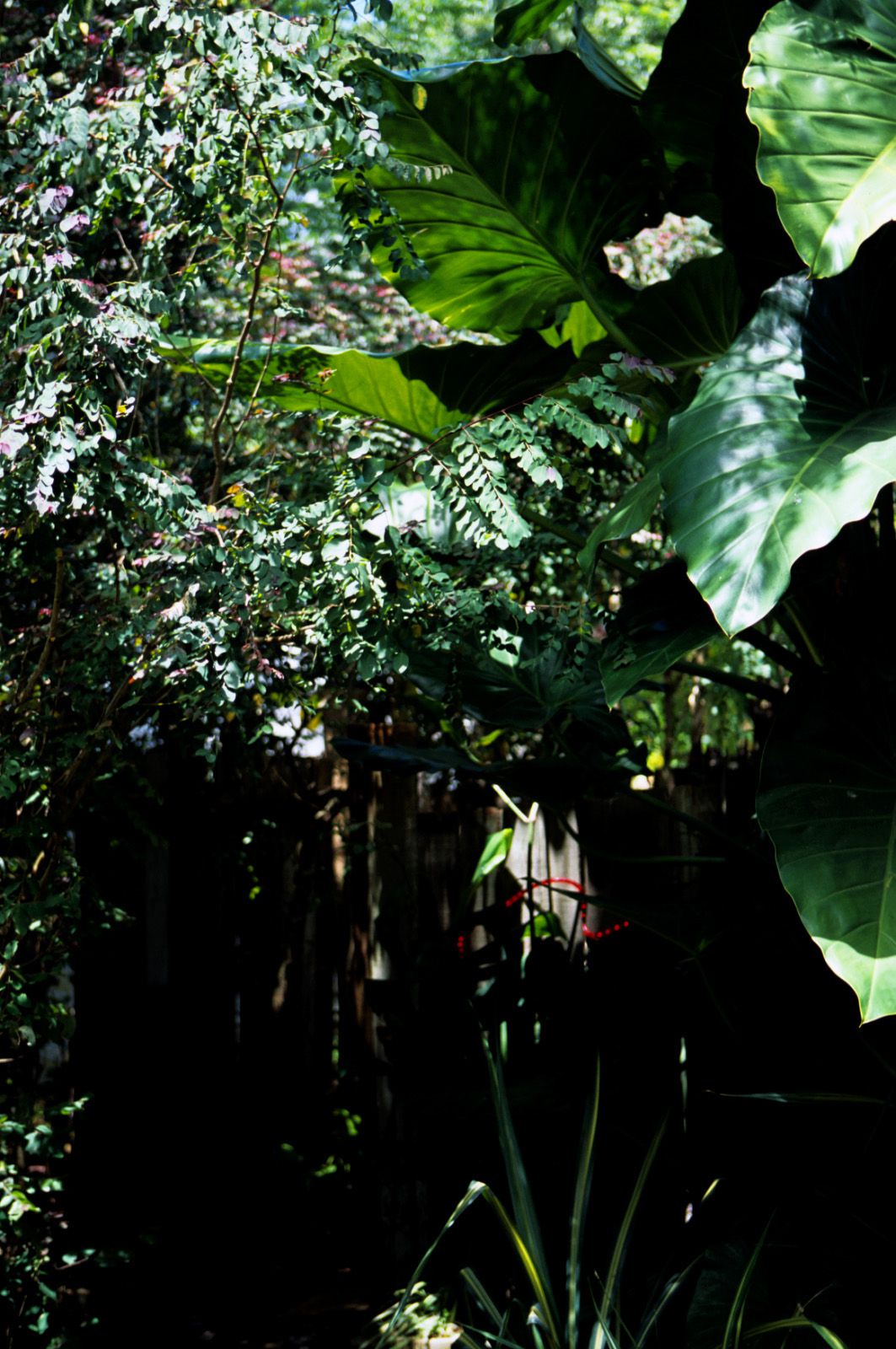 SF-No.363 Reon Kadena 久紗野水萌/嘉那蕾音-图105