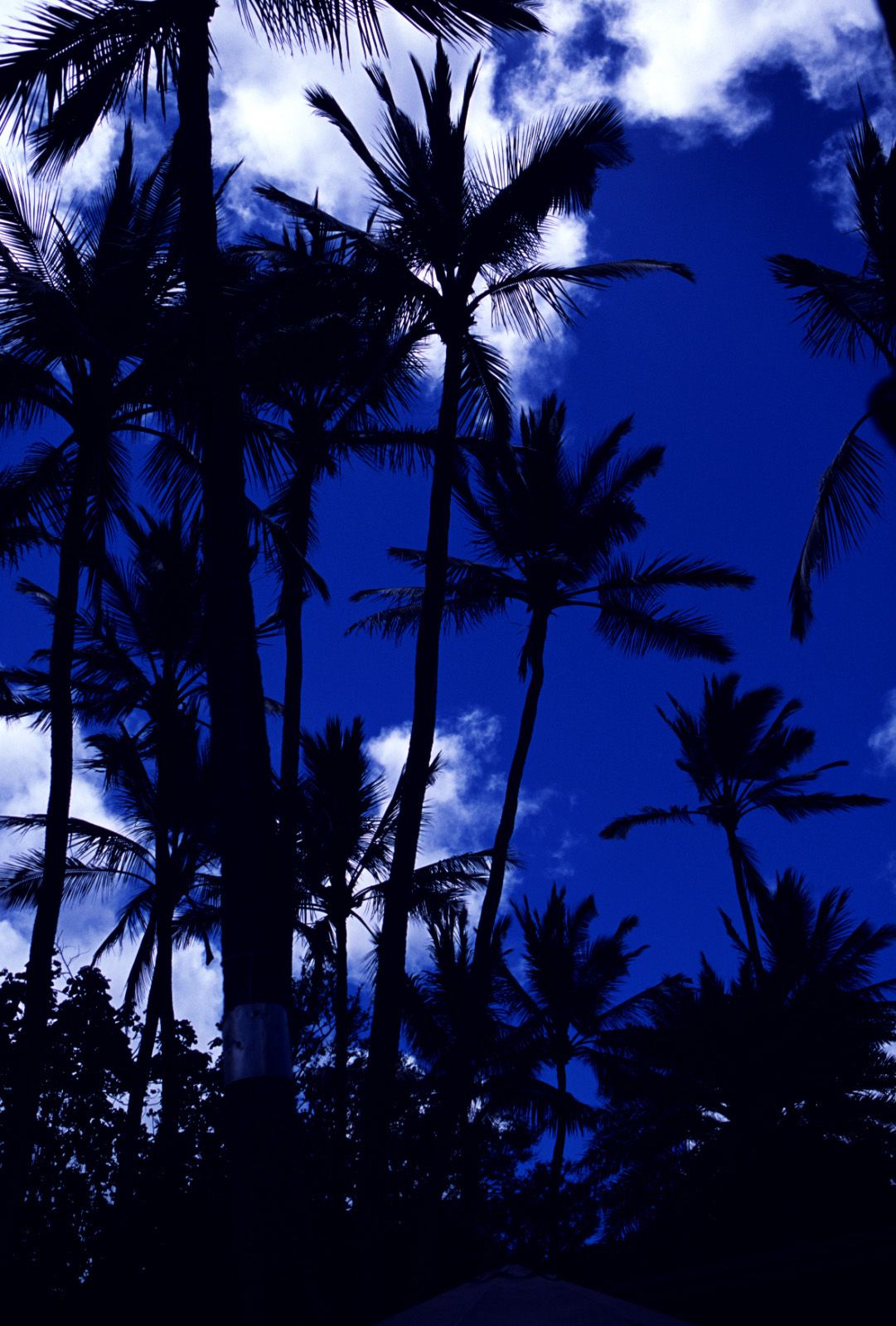 SF-No.363 Reon Kadena 久紗野水萌/嘉那蕾音-图31