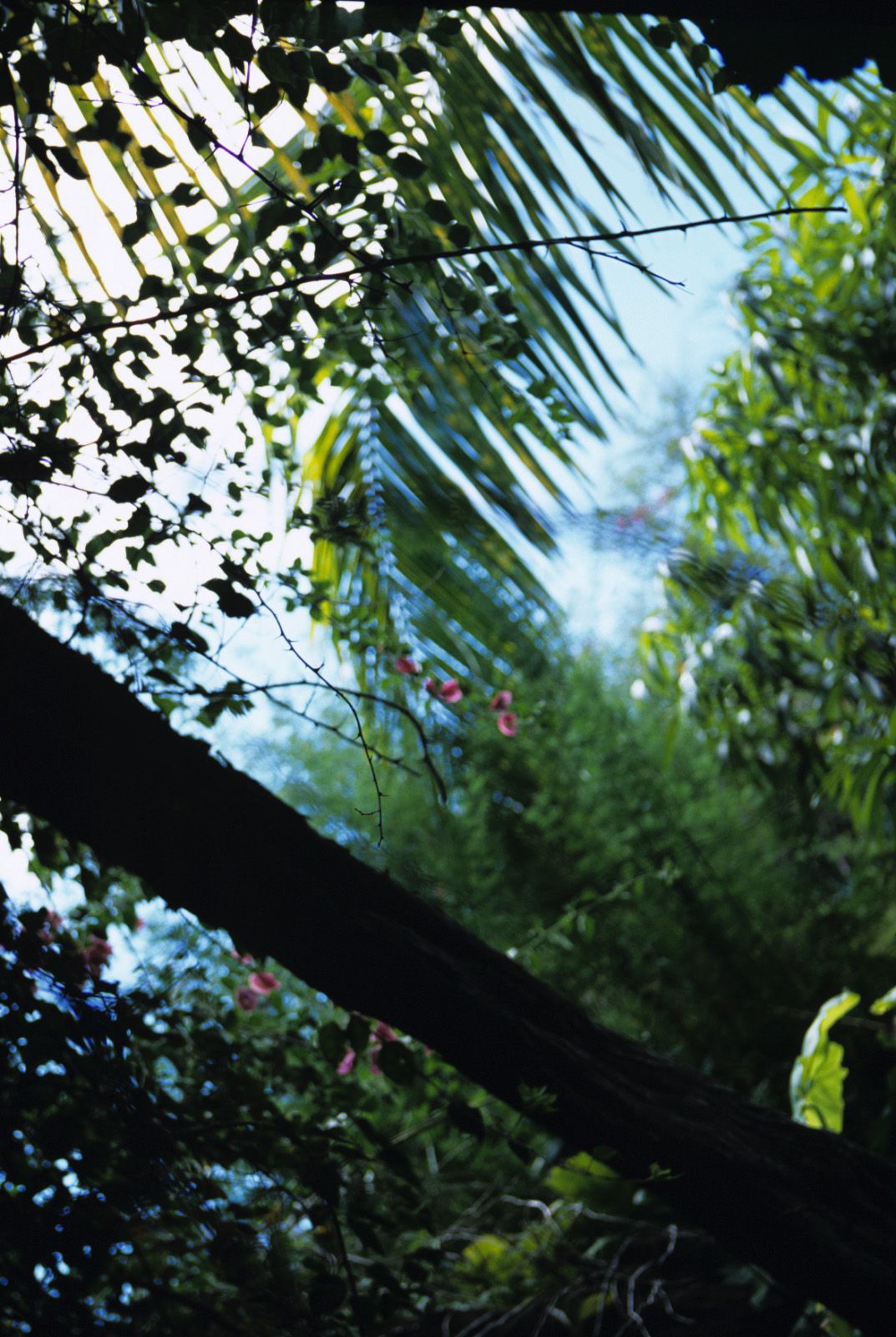 SF-No.363 Reon Kadena 久紗野水萌/嘉那蕾音-图39