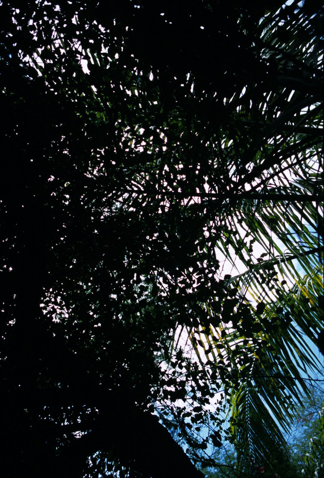 SF-No.363 Reon Kadena 久紗野水萌/嘉那蕾音-图43