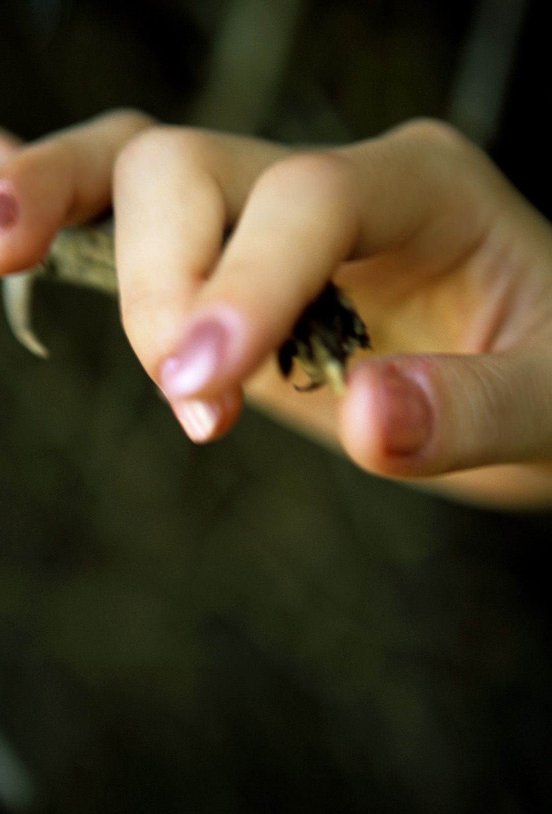 SF-No.363 Reon Kadena 久紗野水萌/嘉那蕾音-图48