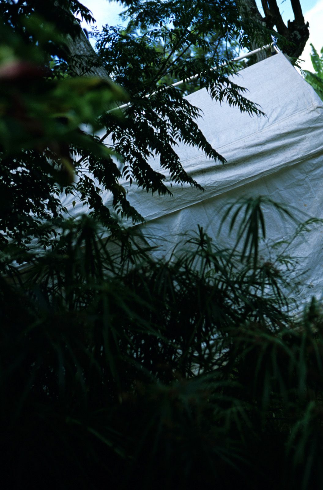 SF-No.363 Reon Kadena 久紗野水萌/嘉那蕾音-图54