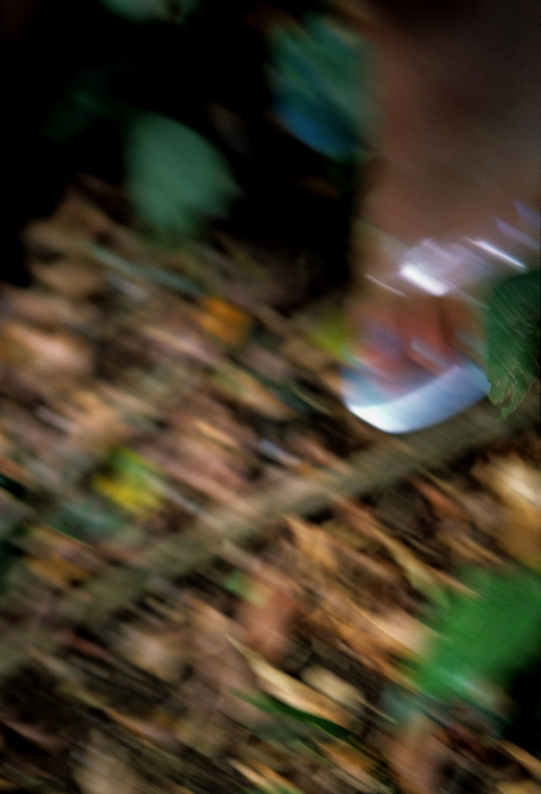 SF-No.363 Reon Kadena 久紗野水萌/嘉那蕾音-图56