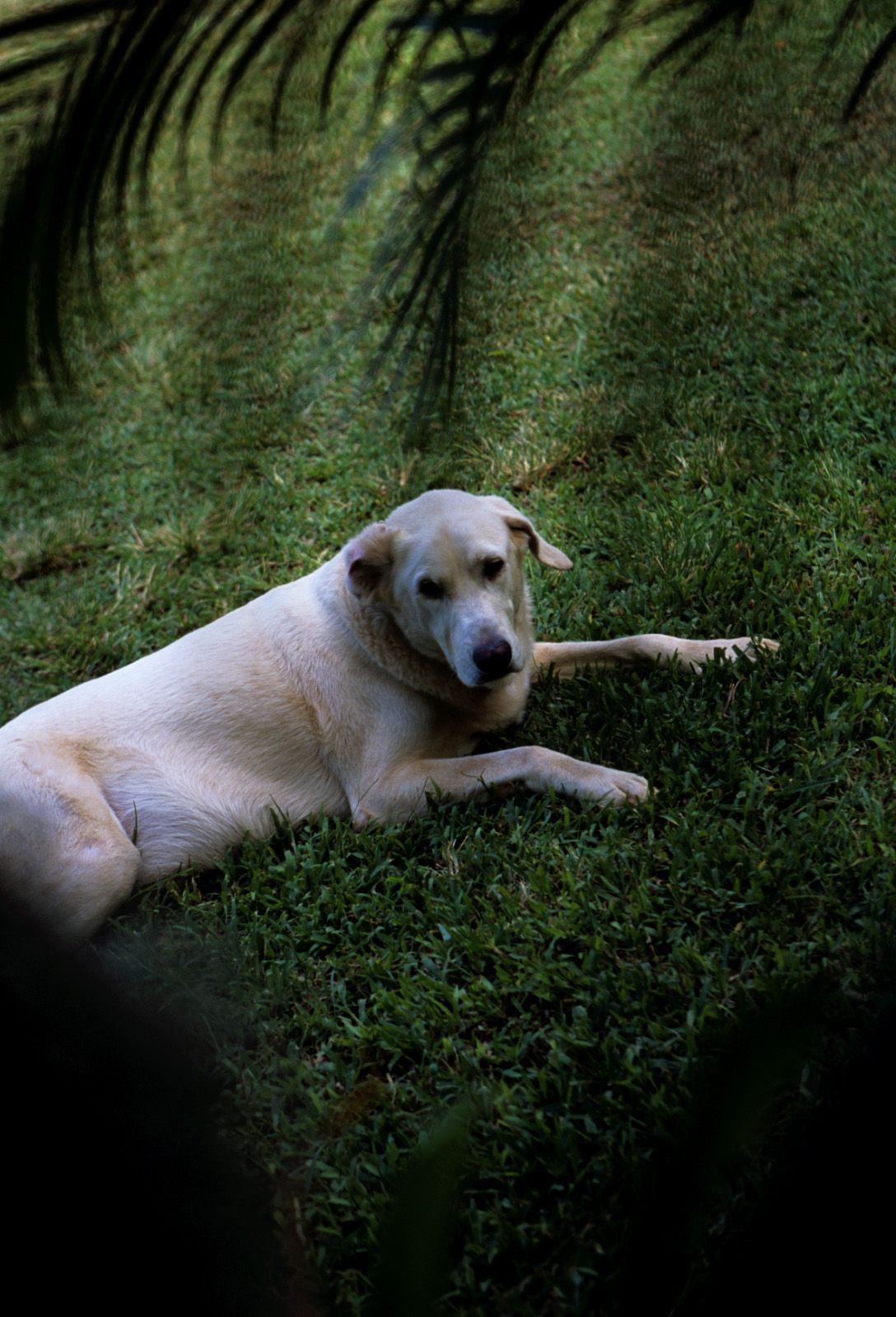 SF-No.363 Reon Kadena 久紗野水萌/嘉那蕾音-图59