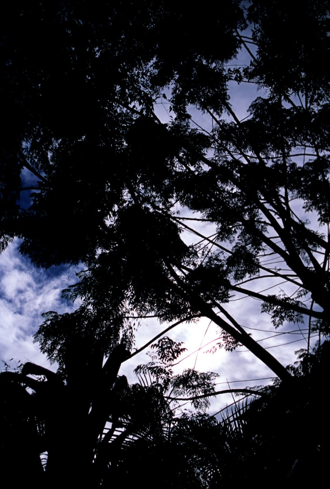 SF-No.363 Reon Kadena 久紗野水萌/嘉那蕾音-图62