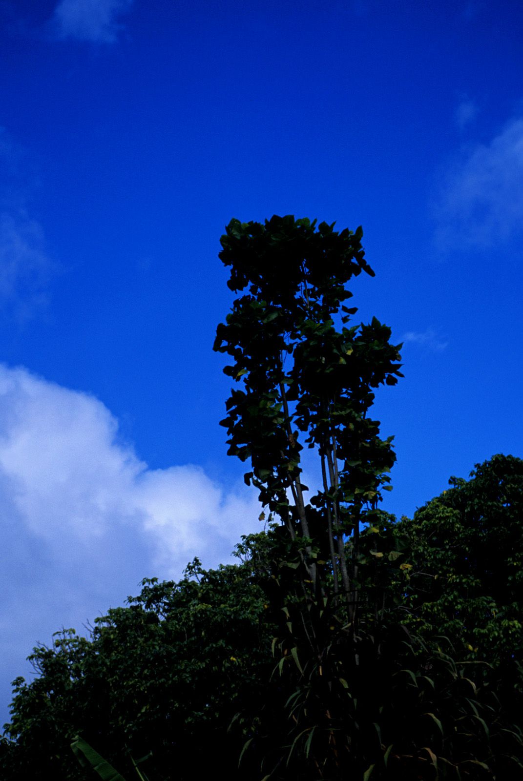 SF-No.363 Reon Kadena 久紗野水萌/嘉那蕾音-图64