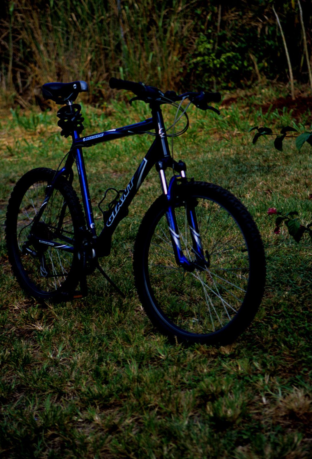 SF-No.363 Reon Kadena 久紗野水萌/嘉那蕾音-图66