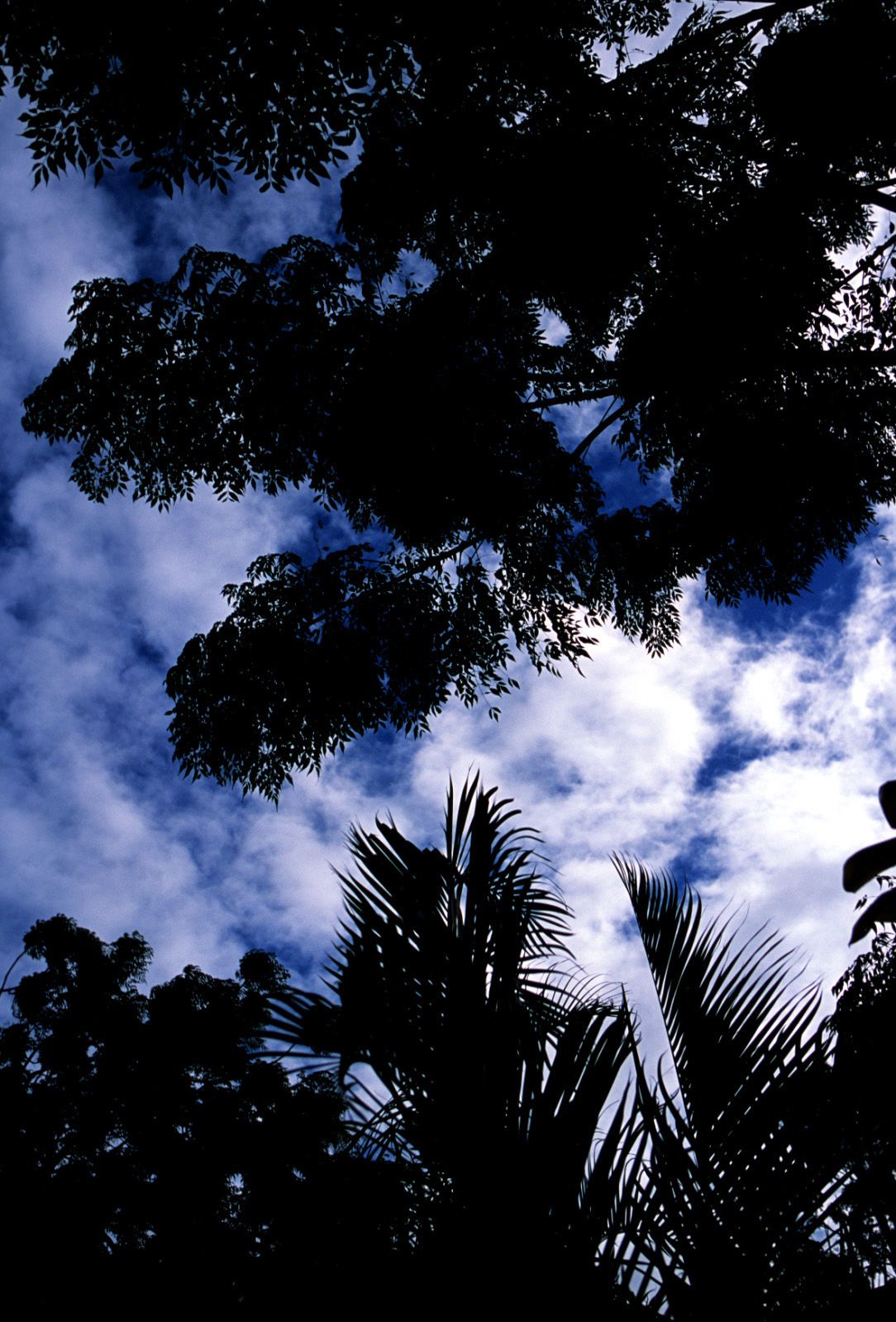 SF-No.363 Reon Kadena 久紗野水萌/嘉那蕾音-图70