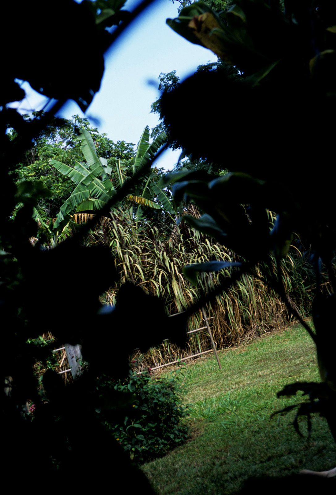 SF-No.363 Reon Kadena 久紗野水萌/嘉那蕾音-图72