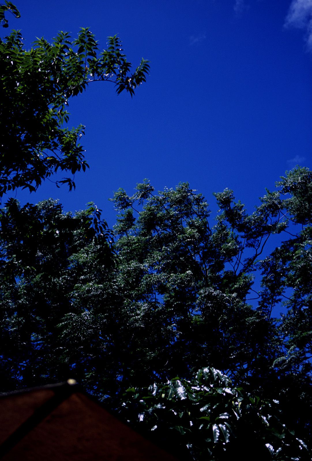 SF-No.363 Reon Kadena 久紗野水萌/嘉那蕾音-图77