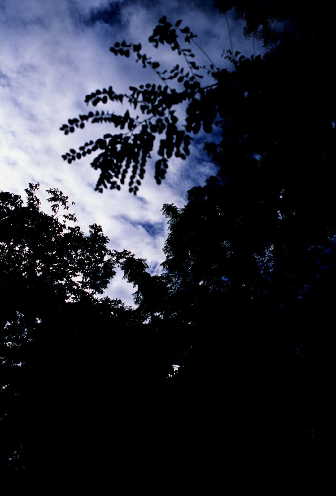 SF-No.363 Reon Kadena 久紗野水萌/嘉那蕾音-图87