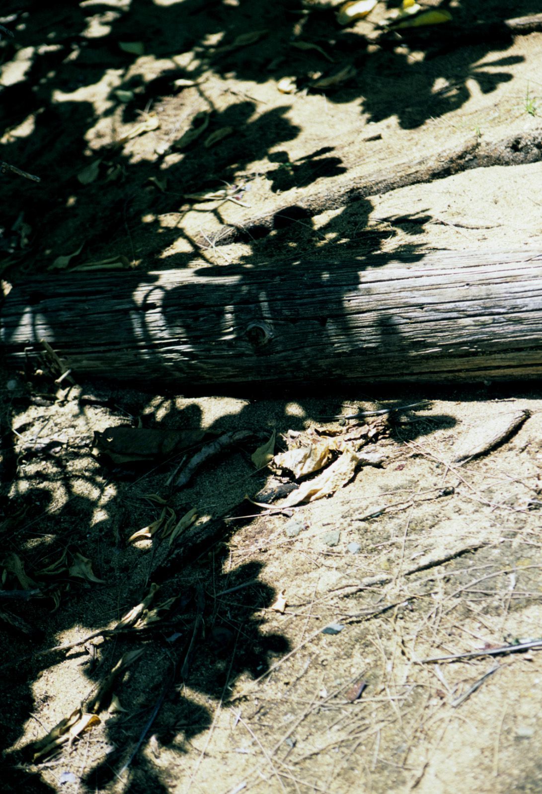 SF-No.363 Reon Kadena 久紗野水萌/嘉那蕾音-图90