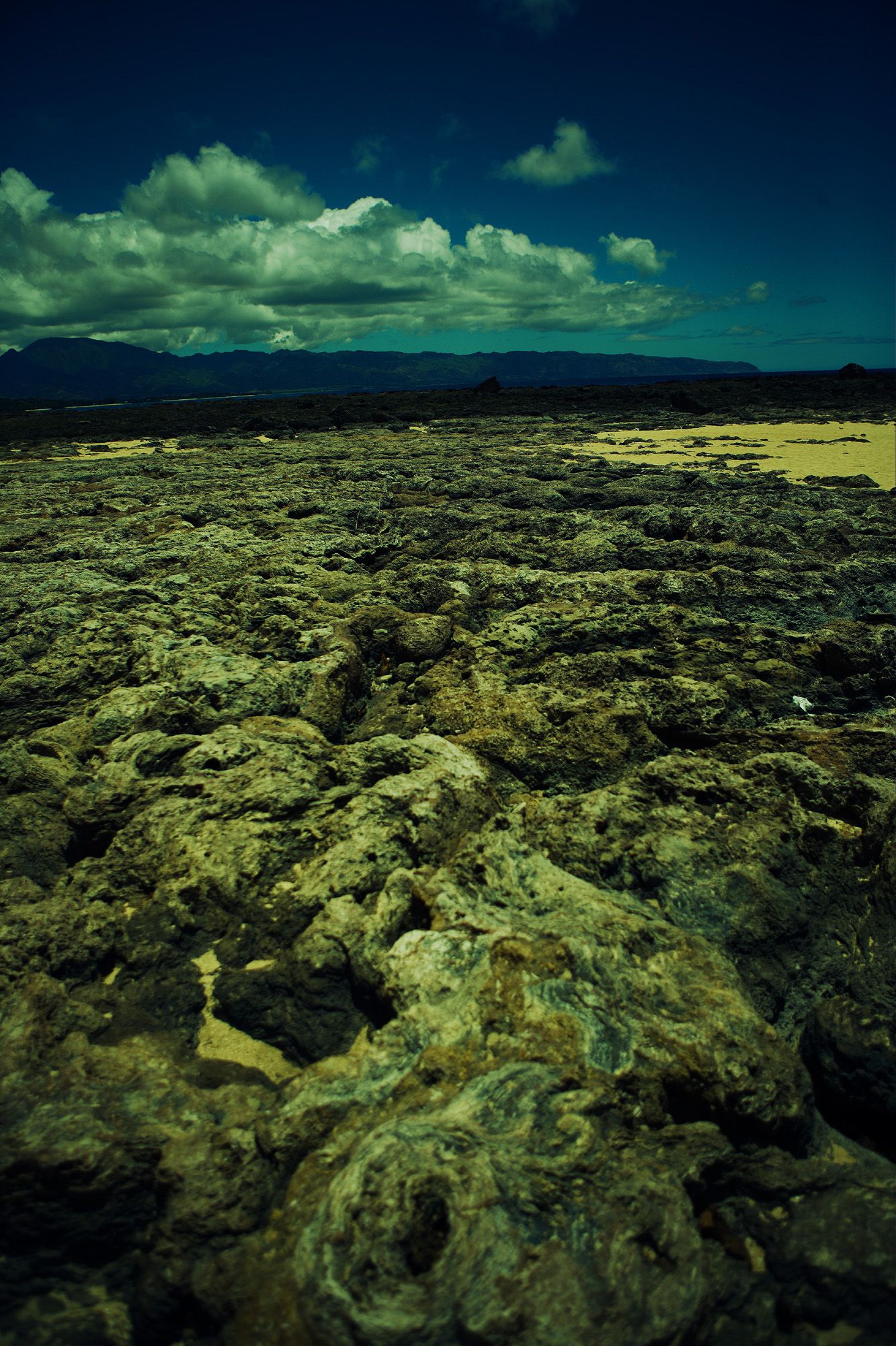 SF-No.364 Reon Kadena 久紗野水萌/かでなれおん-图89