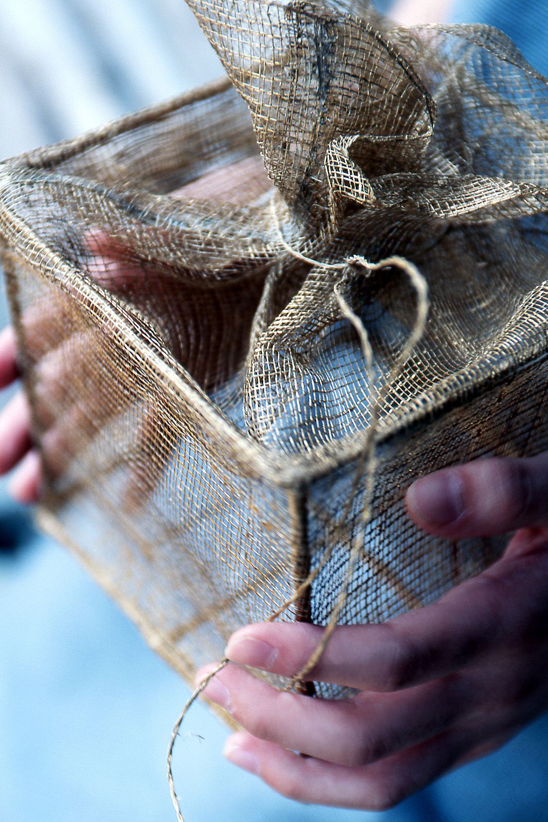 SF-No.375 前田愛&前田亜希 -UNDERAGE!-图5