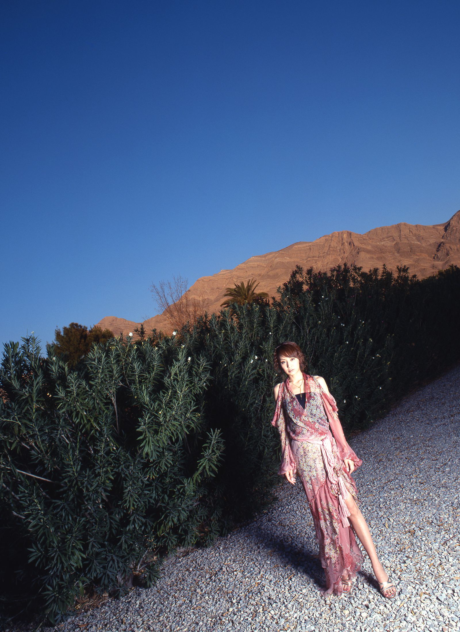 SF-No.381 Akiko Yada 矢田亜希子/矢田亚希子-图18