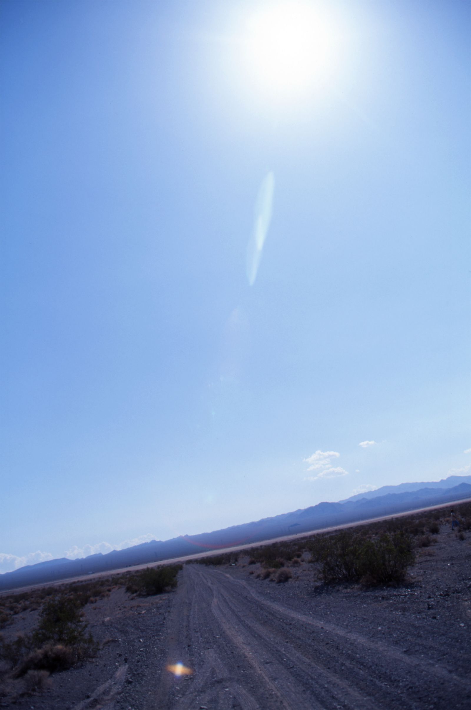 SF-No.381 Akiko Yada 矢田亜希子/矢田亚希子-图5